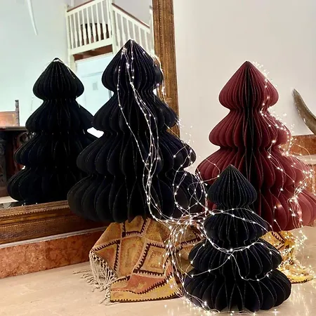 L'ancora 2 Giovinazzo